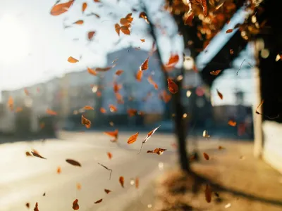 Prognoza meteo la început de toamnă (sursa: Pexels/Kelly)