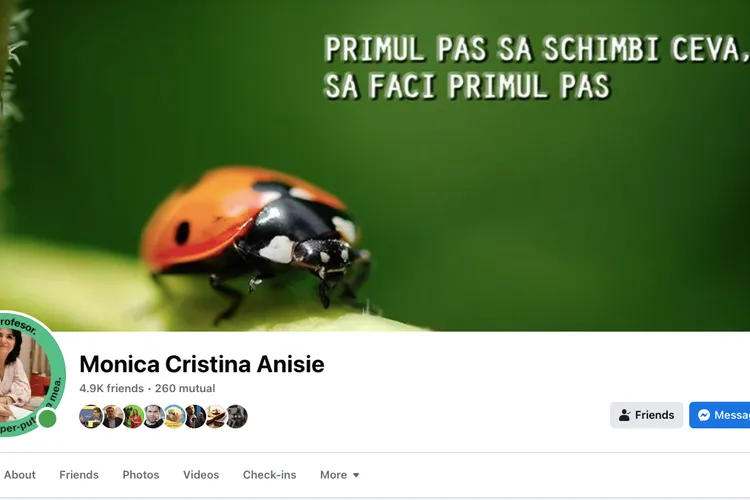 Profesoara de română Anisie, greșeli gramaticale (sursa: Facebook/Monica Cristina Anisie)