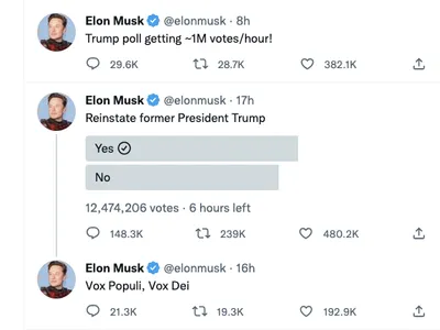 Trump, reprimit pe Twitter, votează utilizatorii (sursa: Twitter/Elon Musk)