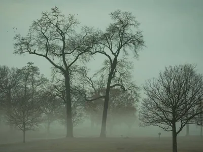 Decembrie aduce încălzire treptată și ploi (sursa: Pexels/David Kanigan)