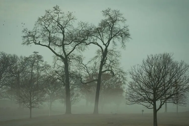 Decembrie aduce încălzire treptată și ploi (sursa: Pexels/David Kanigan)