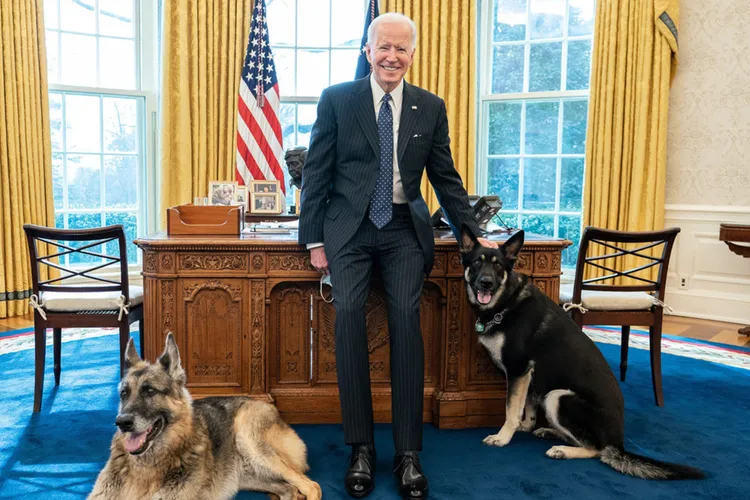 Unul din câinii lui Biden a băgat în spital un agent  Foto: Casa Albă/ Adam Schultz