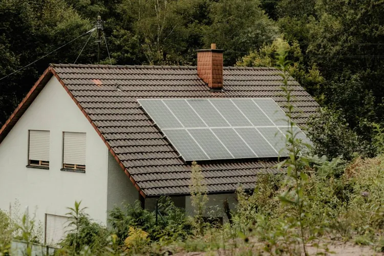 Panourile solare, vulnerabile în fața hackerilor (sursa: Pexels/Carolin Wenske)