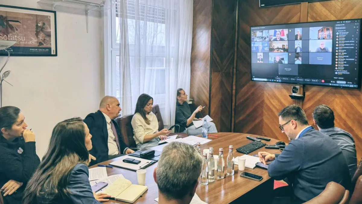 Români în Emirate, ședință MAE (sursa: Facebook/Oana Țoiu)