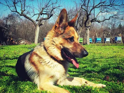 Primăvară caldă până la mijlocul lunii martie (sursa: Pexels/Vladislav Tsankov)