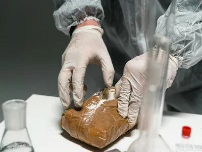 Consumul de droguri, un record global (sursa: Pexels/MART PRODUCTION)