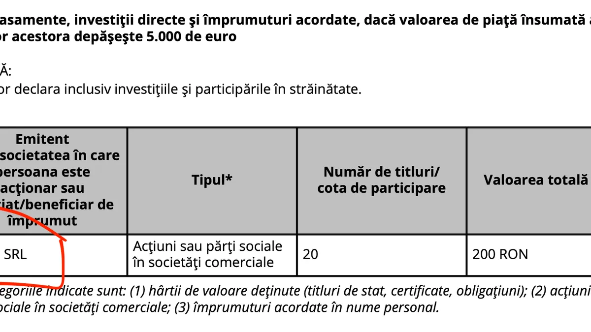 declarație de avere Lia Savonea