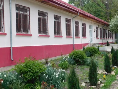 Rele tratamente aplicate pacienților de la Psihiatrie (sursa: ziaruldeiasi.ro)