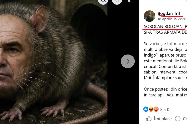 PSD ar depune plângere penală împotriva meme-urilor cu șobolani, dar și-ar încrimina conducerea Foto: Print-screen Bogdan Trif