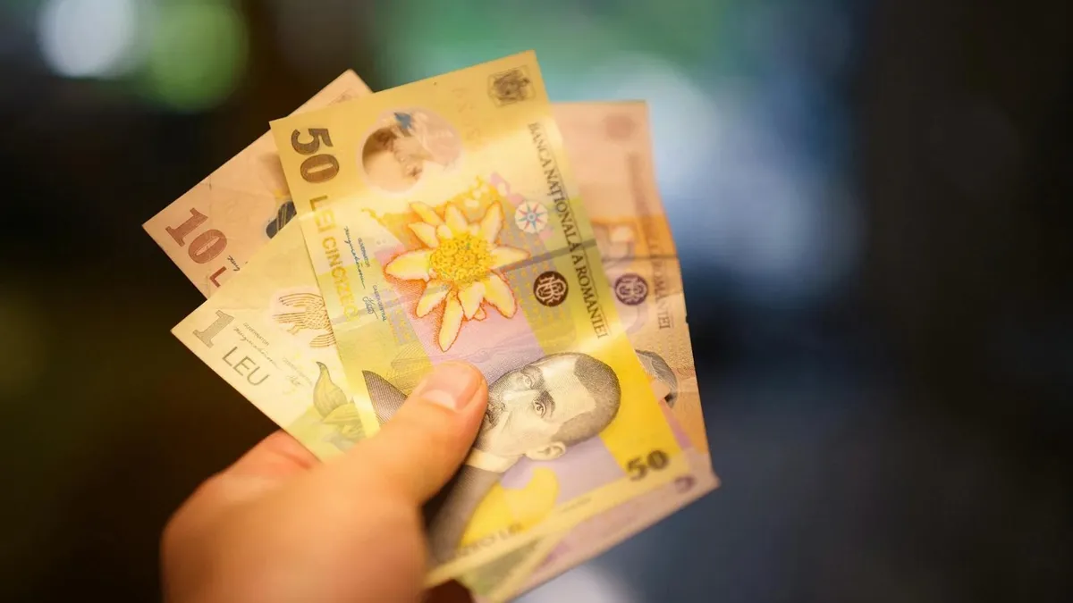 Împrumuturile neplătite, în creștere alarmantă (BNR) (sursa: Pexels/Jakub Zerdzicki)