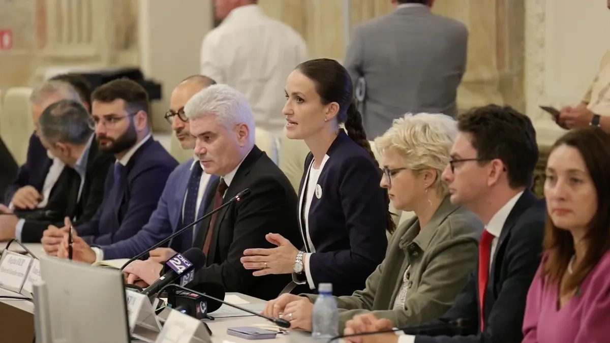 Oana Ţoiu, aviz favorabil pentru Externe (sursa: Facebook/Oana Țoiu)