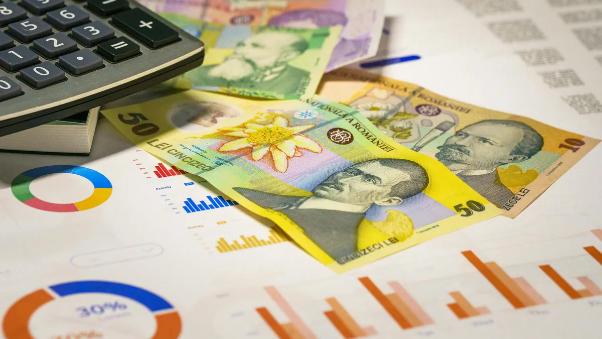 Reforma administrativă, economii de 14 miliarde de lei (sursa: Pexels/Jakub Zerdzicki)