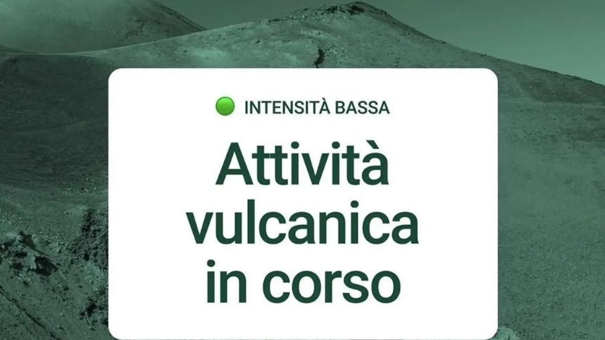 Etna erupe, zboruri perturbate către Catania (sursa: Facebook/Aeroporto di Catania-Sicilia)