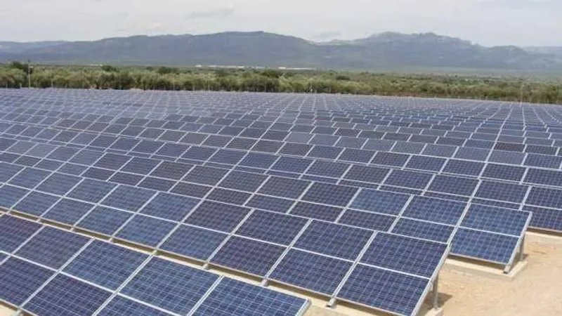 Solar park in Satu Mare (source: adevarul.ro)