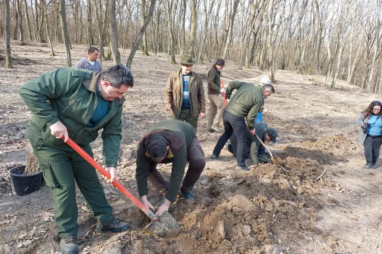 Direcţia Silvică Bihor, două recorduri în 2022 Foto: Facebook 