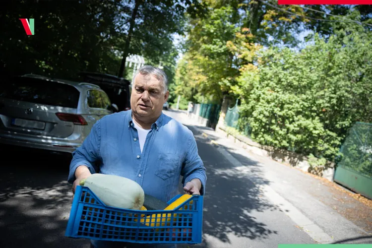 Ungaria: cel mai ridicat ritm de creştere al preţului mediu al producţiei agricole Foto: Facebook Viktor Orban