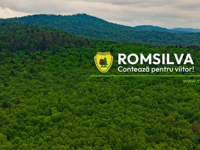 Romsilva recunoaște că oferă sindicatului nu doar mașini, ci și „spații adecvate”.