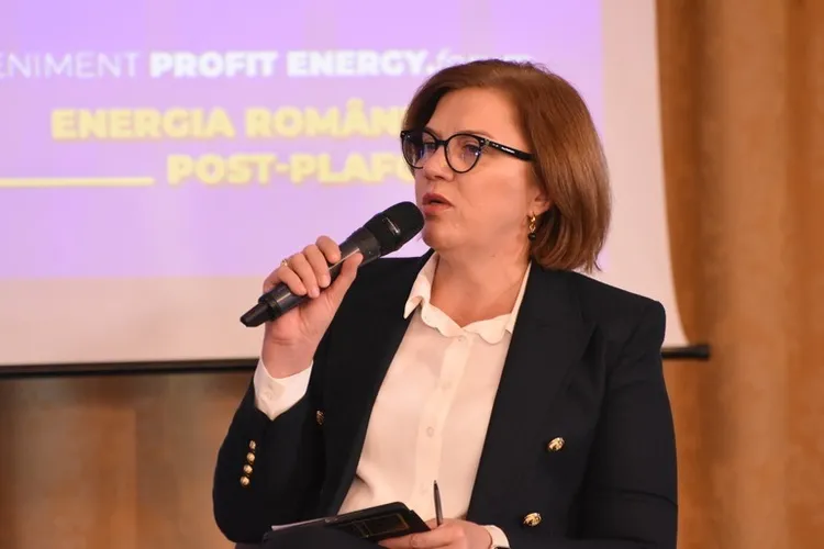 Datoriile statului către furnizorii de energie (sursa: profit.ro)