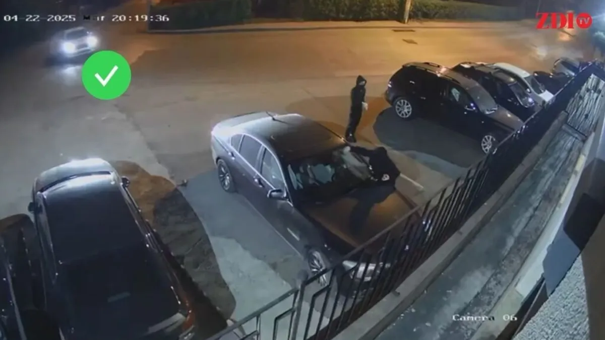 Vandalizare de mașini, provocare pe TikTok (sursa: ziaruldeiasi.ro)