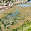 Guvernul ar vrea să devieze brațul Bala spre Dunărea Vecheca să poată asigura apa necesară centralei Cernavodă - surse presă