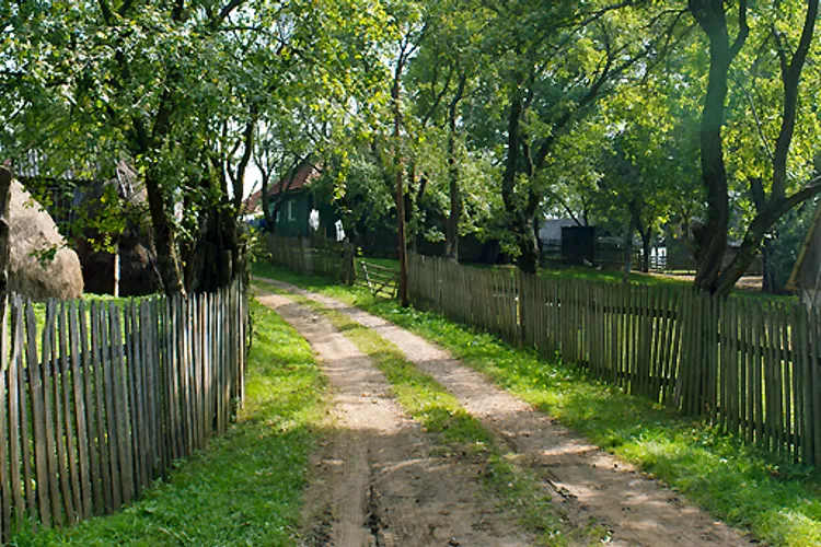 Comune depopulate, angajatori pentru circa 10% din alegătorii localității Foto: comuna Bătrâna