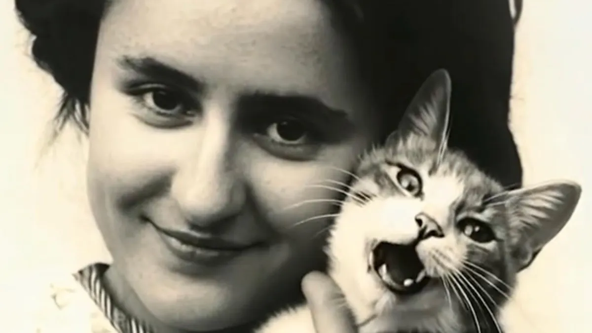 Motanul Zeppelin, reînviat prin tehnologie AI (sursa: ziaruldeiasi.ro)