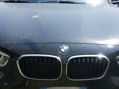 BMW, marca cea mai căutată pe piața la mâna a doua (sursa: Poliția de Frontieră)