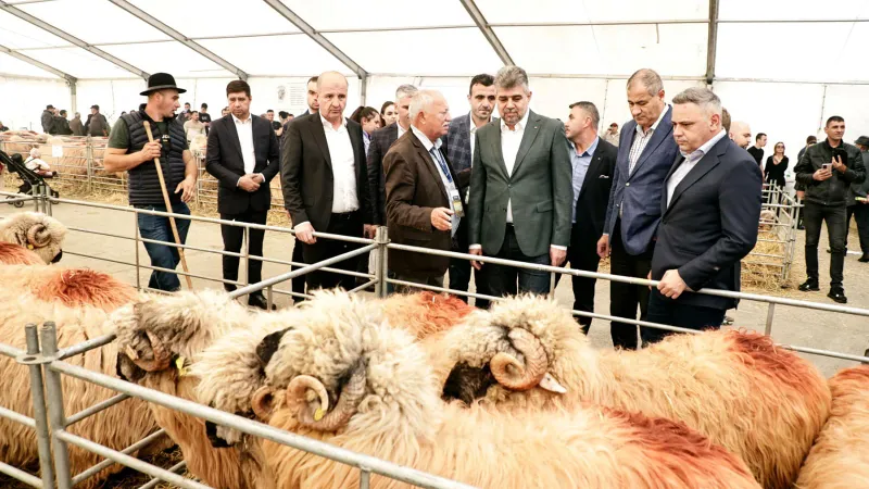 Cum se sifonau subvențiile UE pentru agricultură Foto: Facebook Marcel Ciolacu