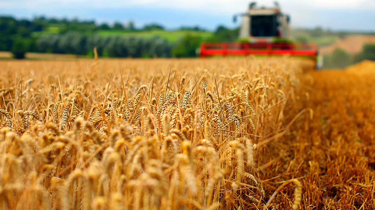 120 de fermieri cu vârsta de peste 90 de ani Foto: Biohumus Sol