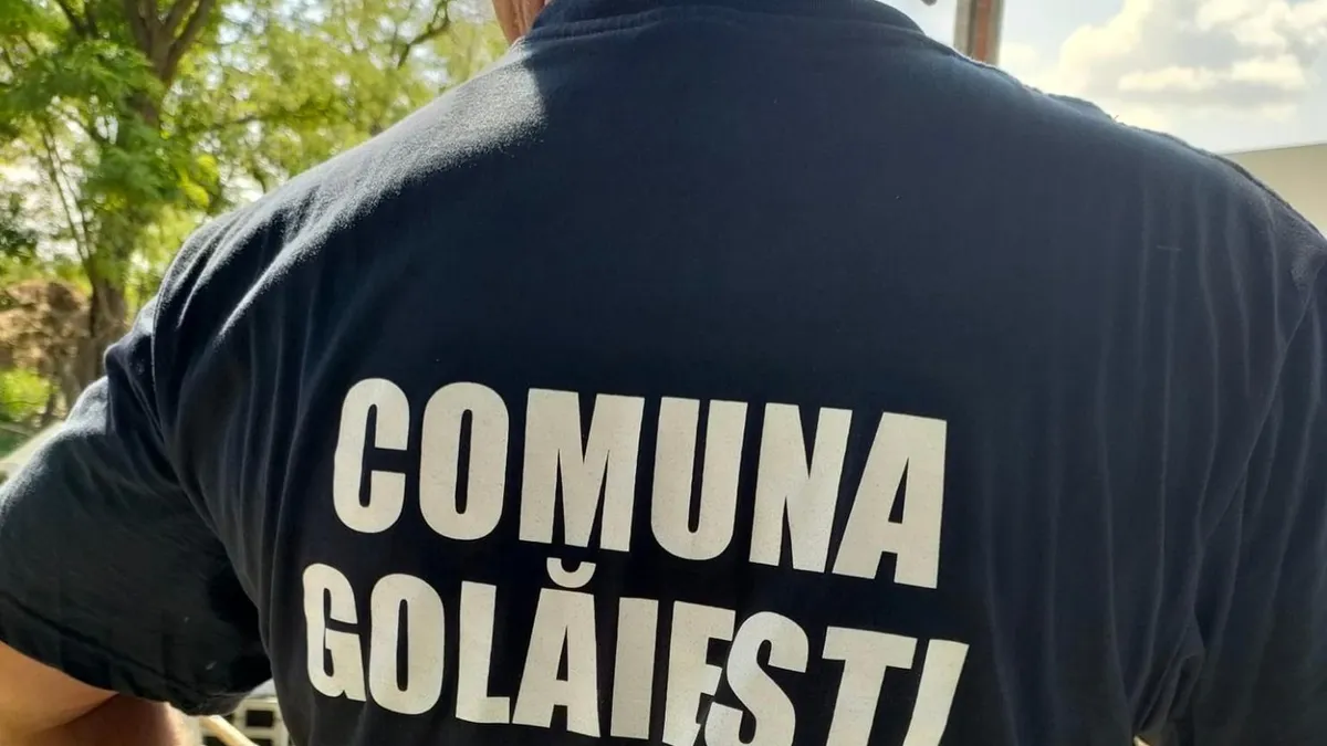 Crimă în Golăiești, copil ucis brutal (sursa: Facebook/Primăria comunei Golăiești)