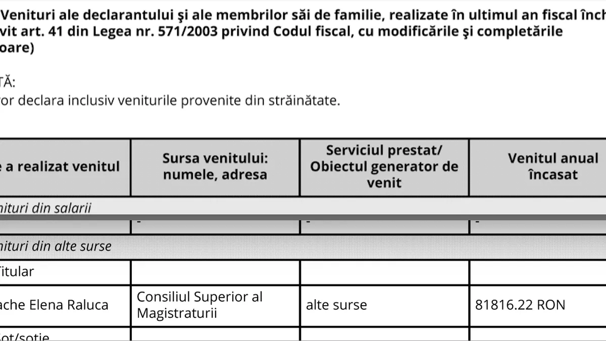 Venituri din alte surse ale șefei CSM