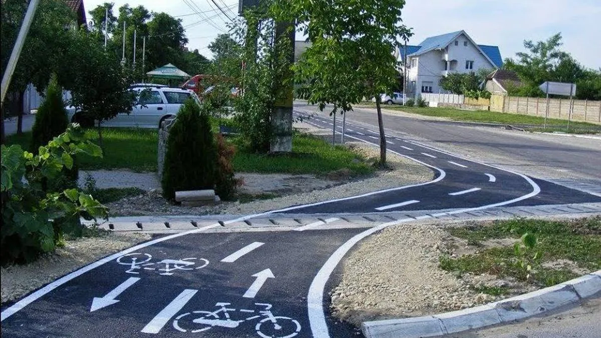 Pistă pentru biciclete, 315 copaci tăiați (sursa: ziaruldeiasi.ro)