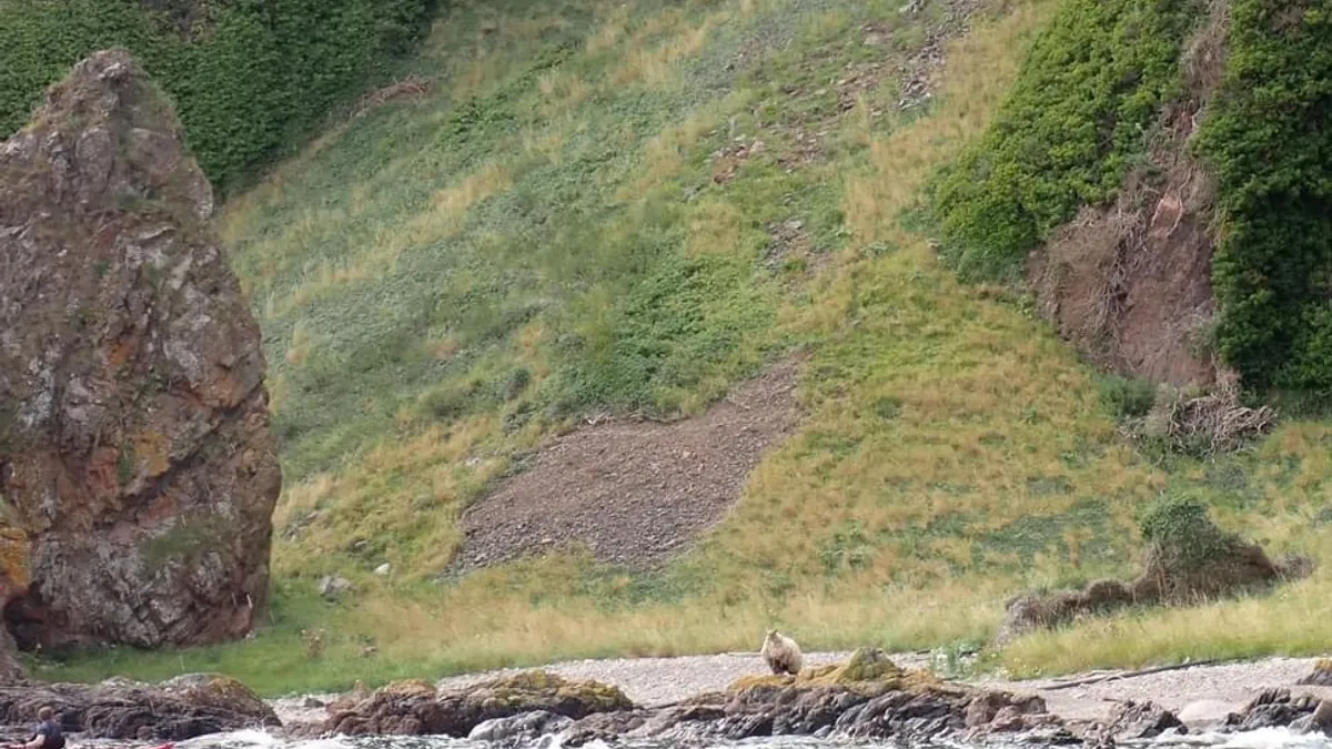 Britanicii se mobilizează pentru a salva un adevărat Robinson Crusoe Foto: Jill Turner