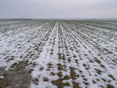 Agricultura românească între recolte și pierderi (sursa: ziaruldeiasi.ro)