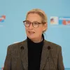 Alice Weidel critică vizita membrilor AfD în Rusia (sursa: Facebook/Alice Weidel)