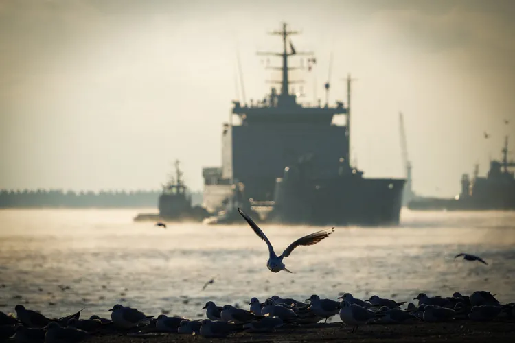 Echipamente militare dubios de scumpe, achiziționate prin SAFE  Foto: Facebook Forțele Navale