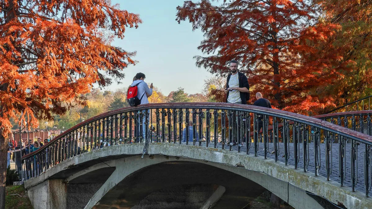 Ciprian Ciucu va amenaja cu prioritate Parcul Herăstrău