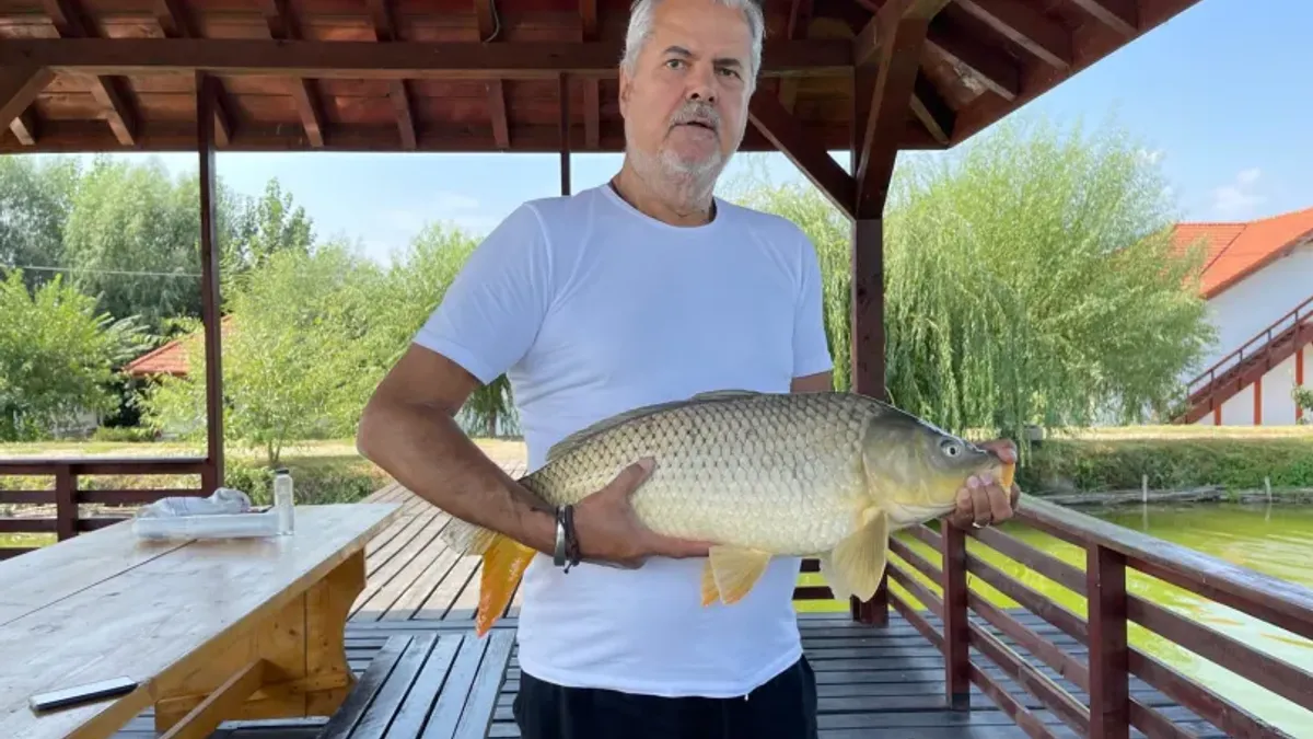 „Cel mai performant premier PSD”, scenariu halucinant în legătură cu criza apei din Prahova Foto: Blog Adrian Năstase