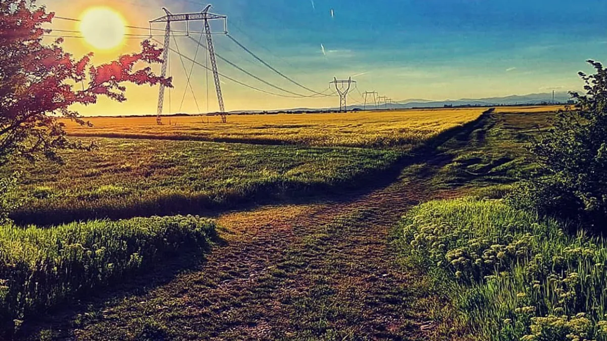 Clienți PSD-PNL, directori la Transelectrica, sub ancheta DNA Foto: Transelectrica