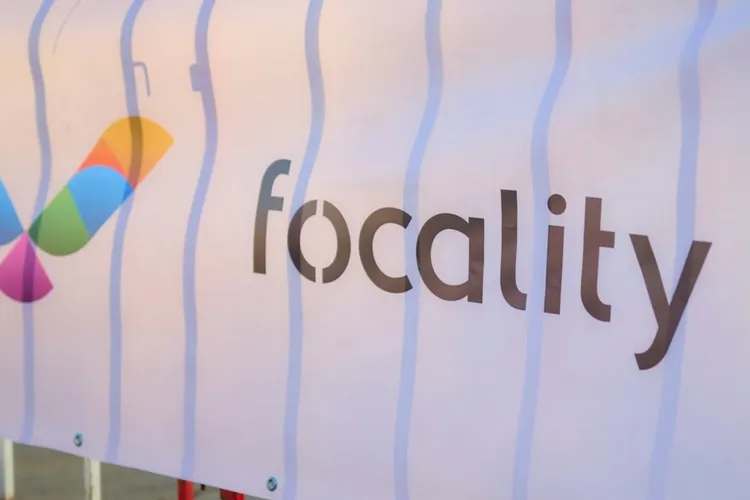 IT-ul românesc câștigă teren într-o piață a multinaționalelor: profituri în creștere accelerată