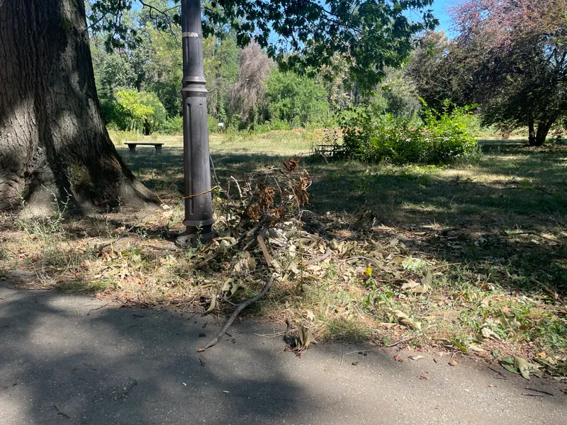 Parcul Herăstrău, un maidan prăfuit, abandonat