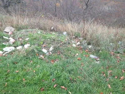 Cetatea de la Cotnari, în pericol major (sursa: ziaruldeiasi.ro)