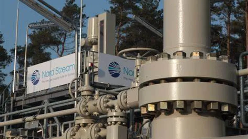 Germania suspendă autorizarea Nord Stream 2. Sursă imagine: Gazprom 
