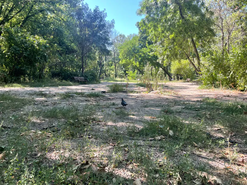 Parcul Herăstrău, un maidan prăfuit, abandonat