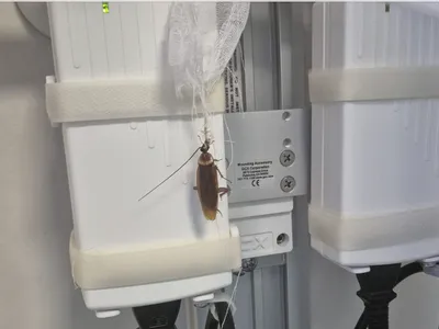 Acuzații privind condițiile din Spitalul Floreasca (sursa: Facebook/Alina Alexandru)