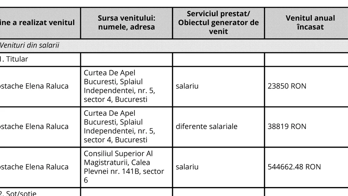 Declarația de avere din 2024 a șefei CSM (sursa: CSM)