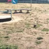 Primăria Iași a cheltuit milioane de euro pentru spații verzi: după nici un an, vegetația e uscată
