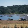 Febra fotovoltaicelor în România: greșeala care poate scumpi investiția firmelor