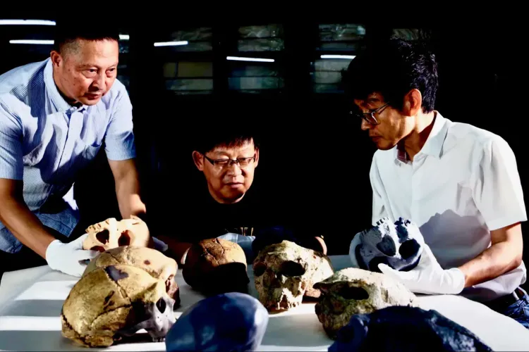 Un craniu străvechi rescrie povestea omenirii (sursa: Fudan University)