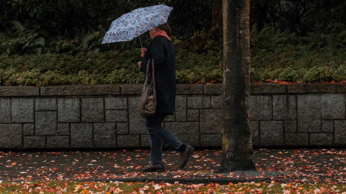 O persoană cu o umbrelă deschisă merge pe un trotuar ud și acoperit de frunze galbene